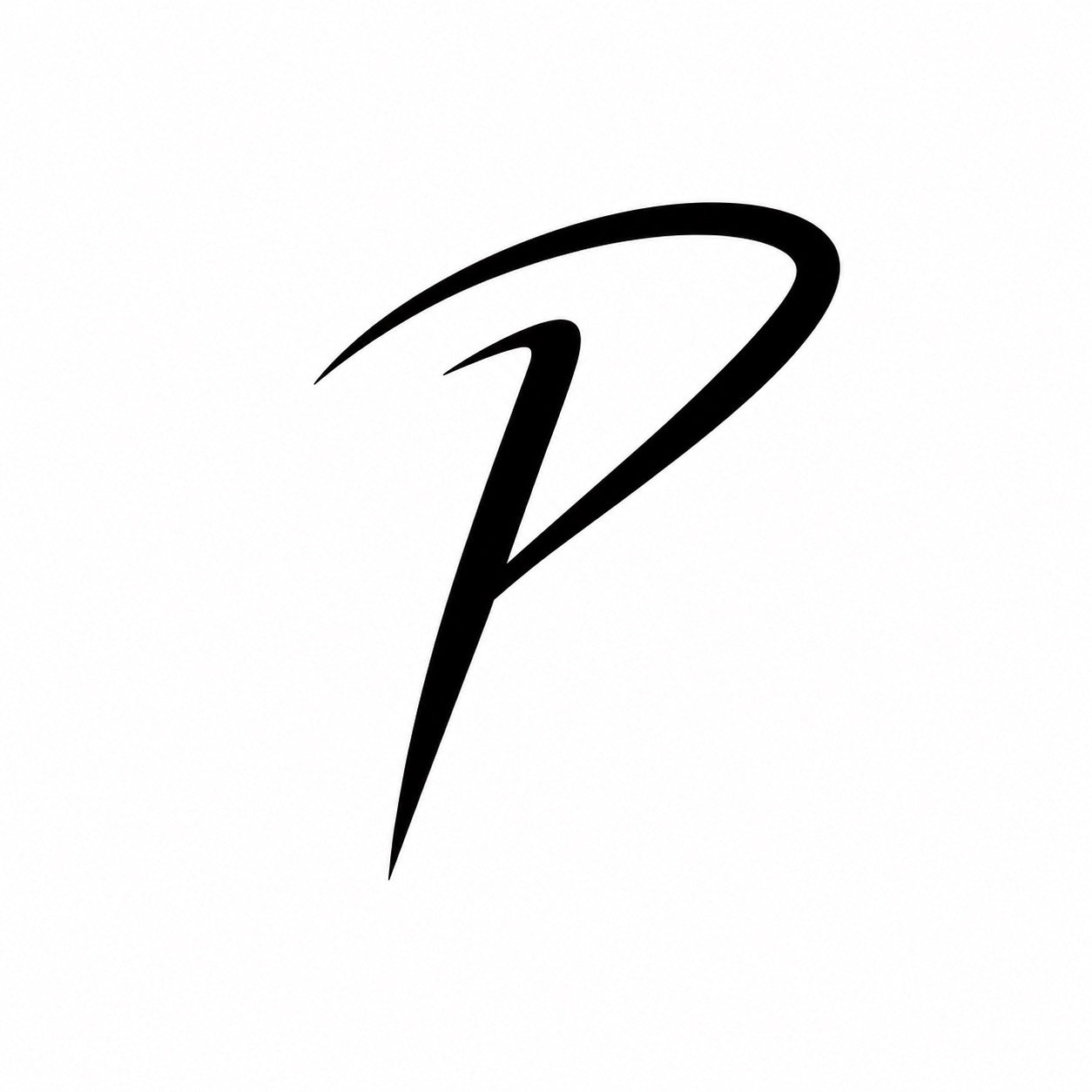 Pruvyn P logo